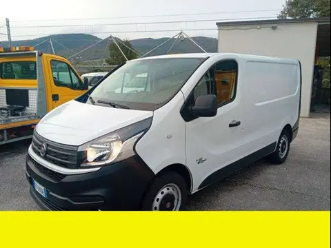 Used FIAT TALENTO Diesel 2019 Ad 