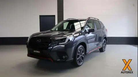 Annonce SUBARU FORESTER Hybride 2024 d'occasion 