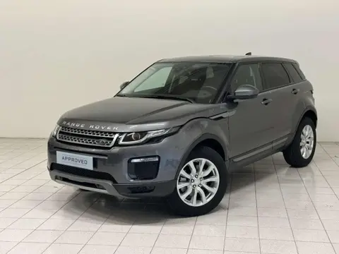 Used LAND ROVER RANGE ROVER EVOQUE Diesel 2019 Ad 