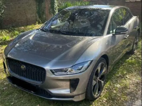 Used JAGUAR I-PACE Electric 2019 Ad 