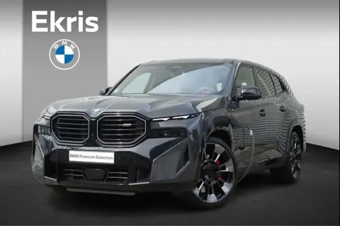 Annonce BMW XM Hybride 2023 d'occasion 