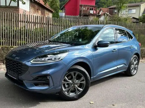 Annonce FORD KUGA Hybride 2022 d'occasion 