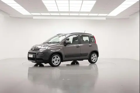 Annonce FIAT PANDA Essence 2023 d'occasion 