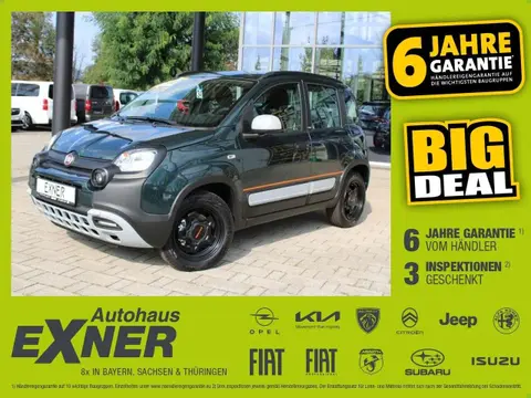 Used FIAT PANDA Hybrid 2024 Ad 