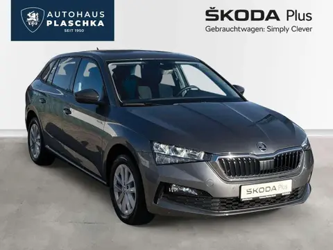 Annonce SKODA SCALA Essence 2024 d'occasion 