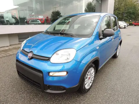 Used FIAT PANDA Hybrid 2024 Ad 