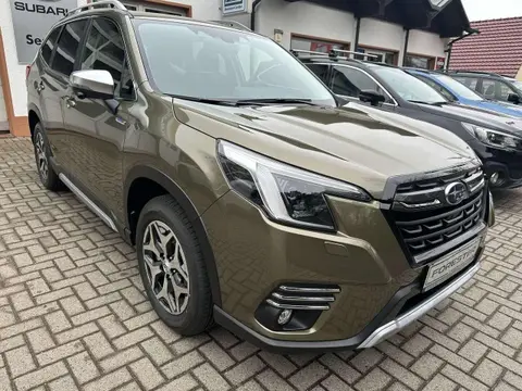 Annonce SUBARU FORESTER Essence 2024 d'occasion 