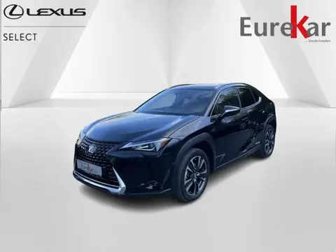 Annonce LEXUS UX Hybride 2021 d'occasion 