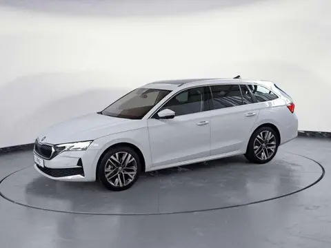 Annonce SKODA OCTAVIA Diesel 2024 d'occasion 