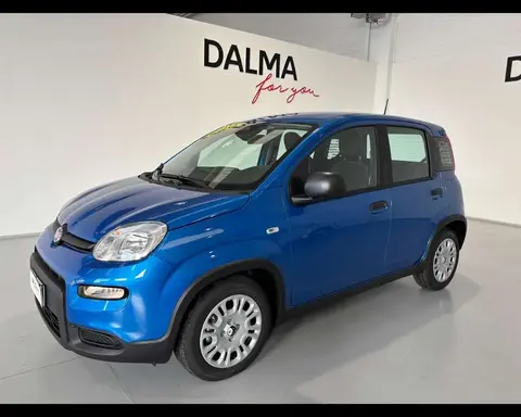 Annonce FIAT PANDA Hybride 2024 d'occasion 