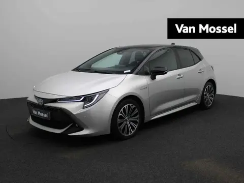 Used TOYOTA COROLLA Hybrid 2019 Ad 