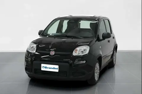 Used FIAT PANDA Hybrid 2024 Ad 