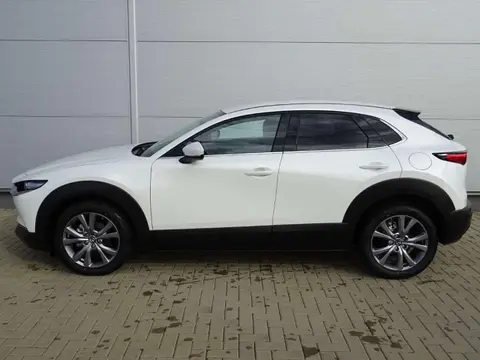 Annonce MAZDA CX-30 Essence 2024 d'occasion 