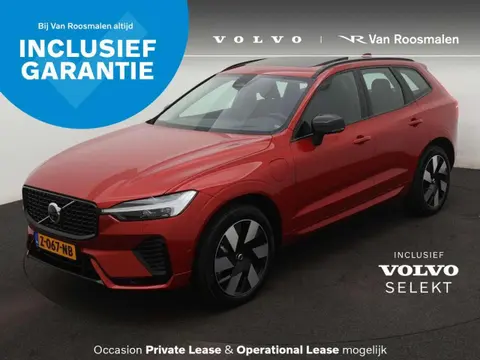 Annonce VOLVO XC60 Hybride 2024 d'occasion 