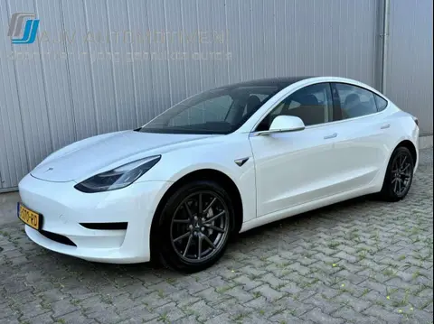 Used TESLA MODEL 3 Electric 2019 Ad 