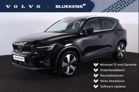 Used VOLVO XC40 Hybrid 2022 Ad 