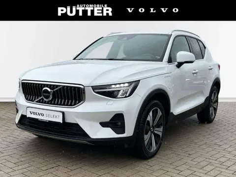 Used VOLVO XC40 Hybrid 2022 Ad 