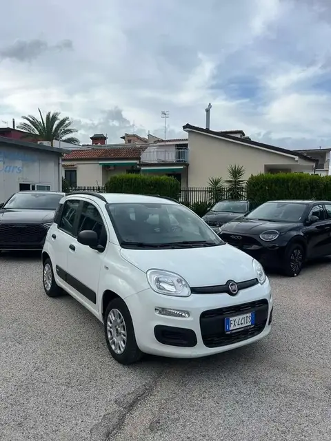 Used FIAT PANDA Petrol 2019 Ad 