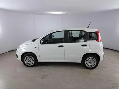 Annonce FIAT PANDA Essence 2020 d'occasion 