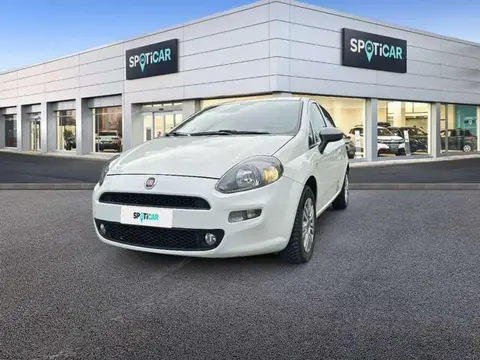 Used FIAT PUNTO Petrol 2015 Ad 