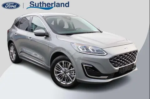 Used FORD KUGA Hybrid 2021 Ad 