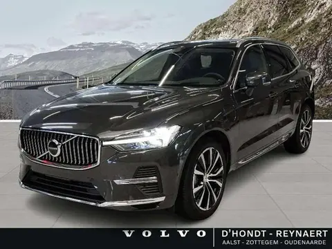 Annonce VOLVO XC60 Essence 2024 d'occasion 