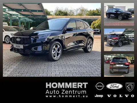 Used FORD KUGA Hybrid 2024 Ad 