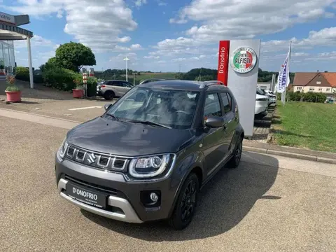 Annonce SUZUKI IGNIS Essence 2024 d'occasion 