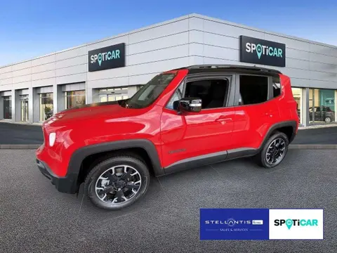 Used JEEP RENEGADE Hybrid 2024 Ad 