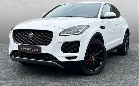 Used JAGUAR E-PACE Diesel 2020 Ad 