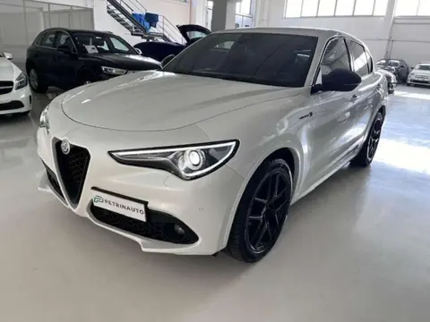 Used ALFA ROMEO STELVIO Diesel 2021 Ad 