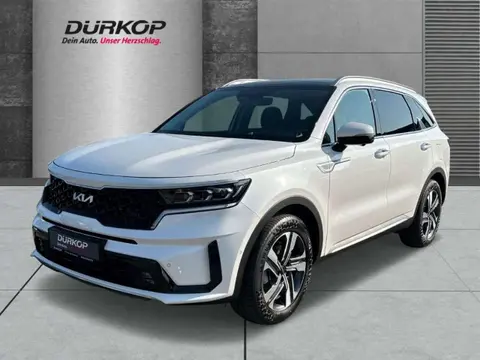 Annonce KIA SORENTO Hybride 2024 d'occasion 