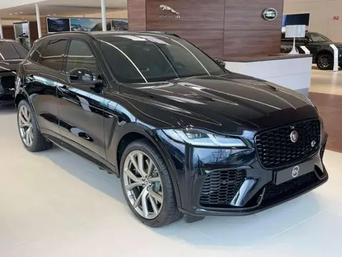 Annonce JAGUAR F-PACE Essence 2024 d'occasion 