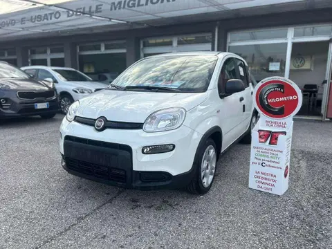 Used FIAT PANDA Hybrid 2024 Ad 