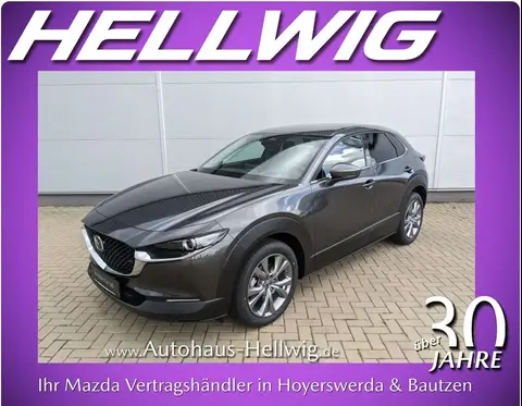 Used MAZDA CX-30 Petrol 2024 Ad 