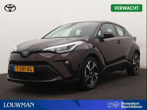 Used TOYOTA C-HR Hybrid 2023 Ad 