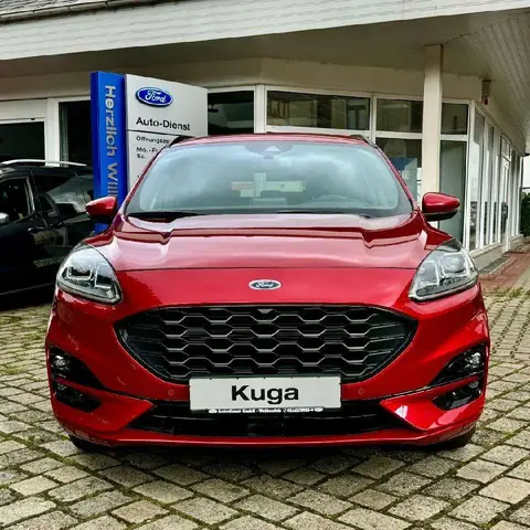 Annonce FORD KUGA Hybride 2024 d'occasion 