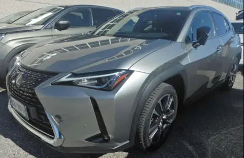 Used LEXUS UX Hybrid 2020 Ad 