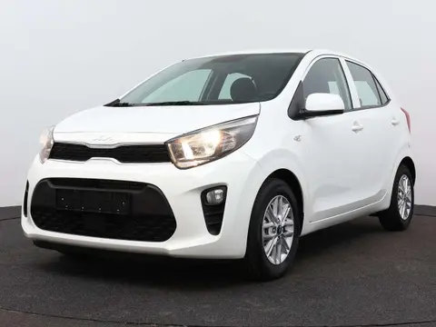 Used KIA PICANTO Petrol 2023 Ad 