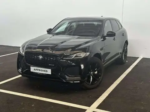 Used JAGUAR F-PACE Hybrid 2024 Ad 