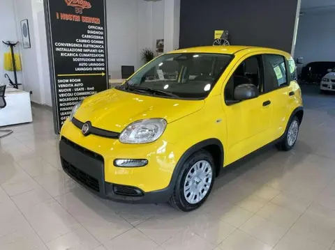 Annonce FIAT PANDA Hybride 2024 d'occasion 