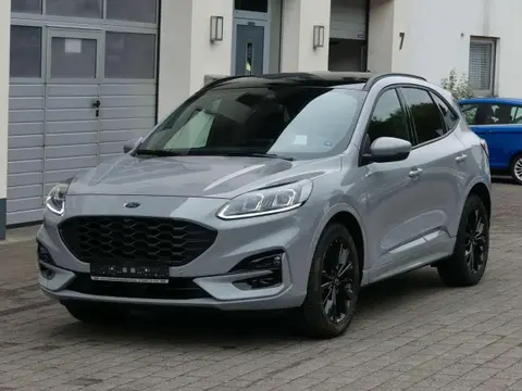 Used FORD KUGA Hybrid 2024 Ad 