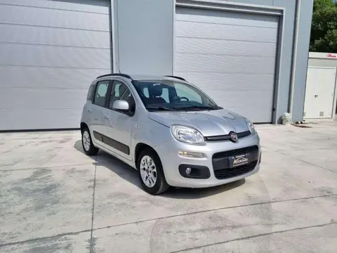 Used FIAT PANDA Diesel 2017 Ad 