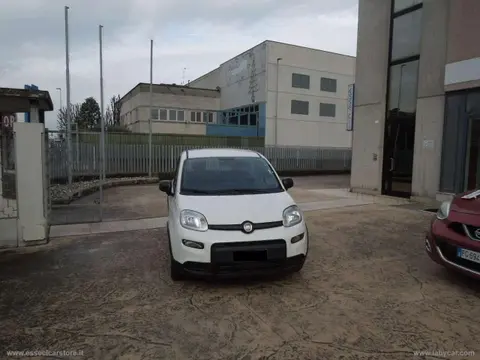 Used FIAT PANDA Petrol 2023 Ad 