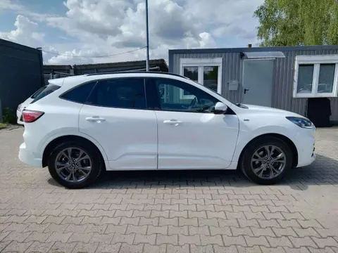 Used FORD KUGA Hybrid 2020 Ad 