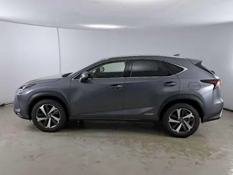 Used LEXUS NX Hybrid 2019 Ad 