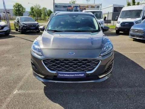 Annonce FORD KUGA  2022 d'occasion 