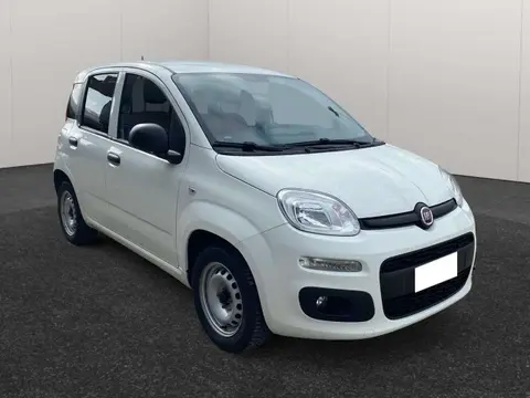 Used FIAT PANDA Petrol 2019 Ad 