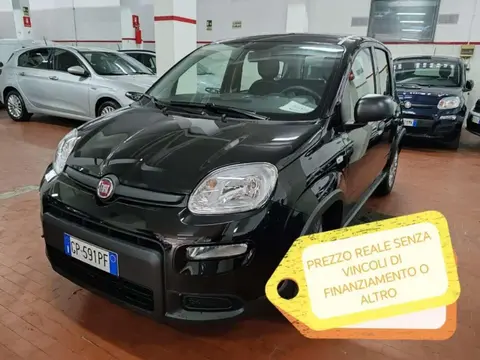 Annonce FIAT PANDA Hybride 2023 d'occasion 