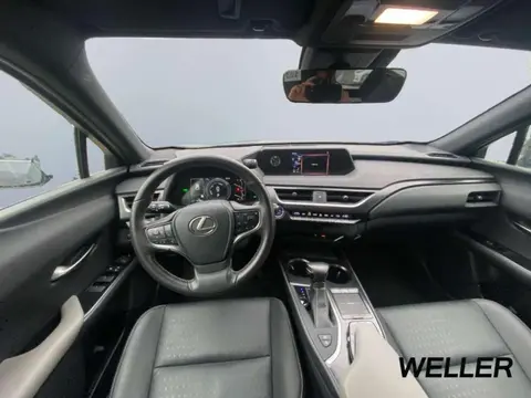 Used LEXUS UX Hybrid 2021 Ad 